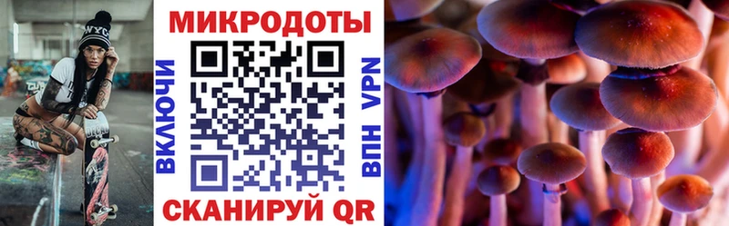 Псилоцибиновые грибы Magic Shrooms  Калининград 